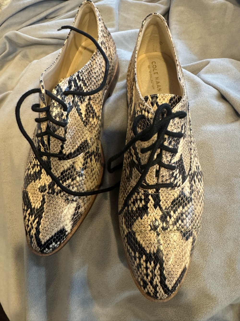 Cole Haan Snake-Print Lace-Up Oxfords in Black and Cream